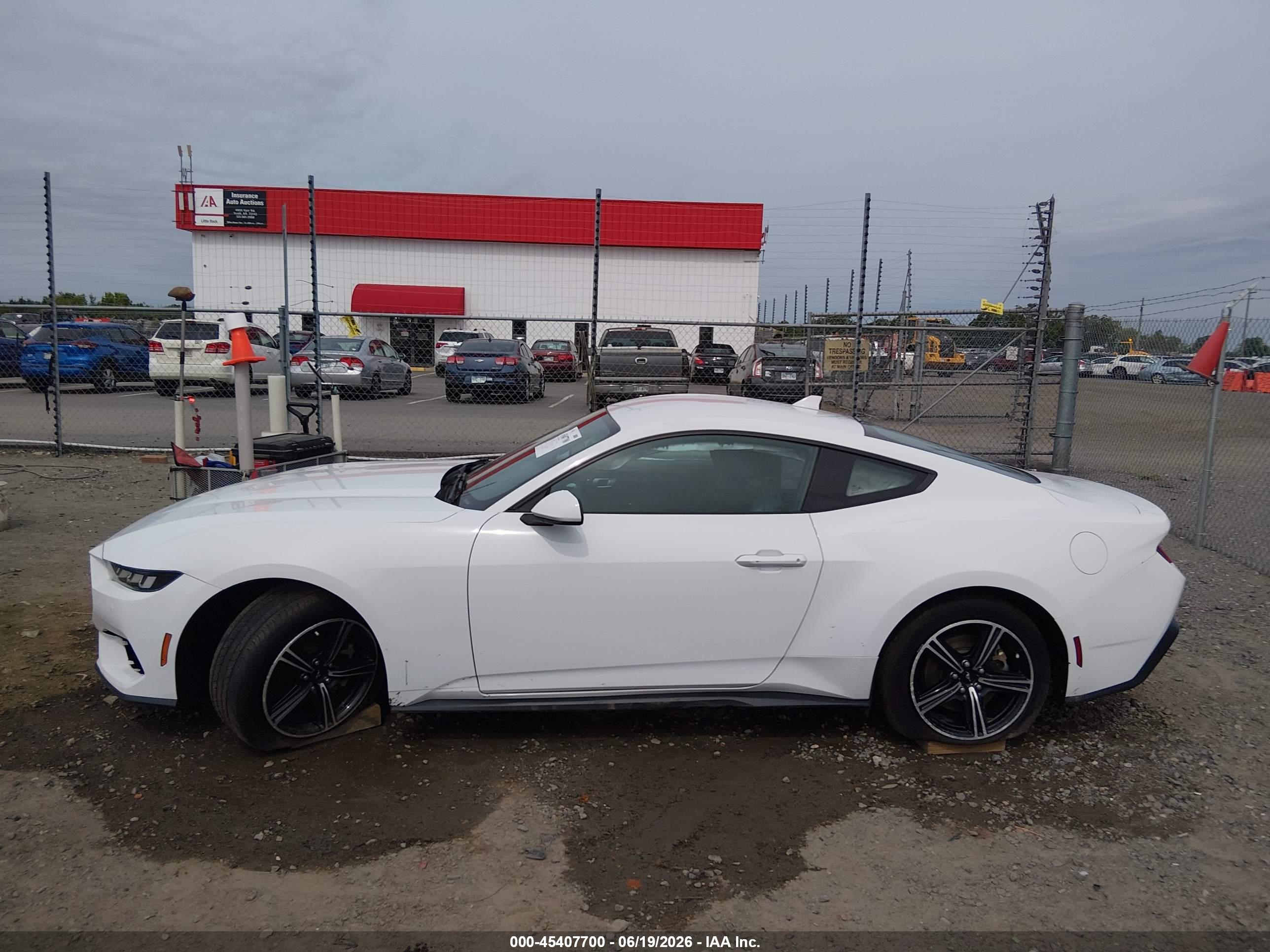 2024 FORD MUSTANG ECOBOOST FASTBACK