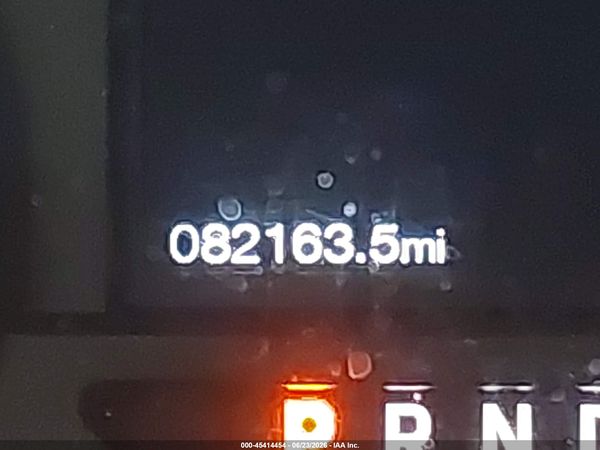 2019 FORD F-150 XL/XLT