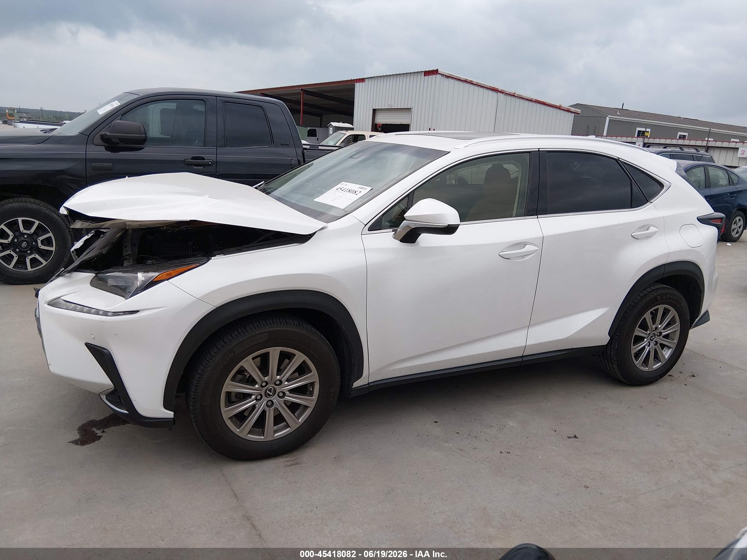 2019 LEXUS NX 300 300 Luxury