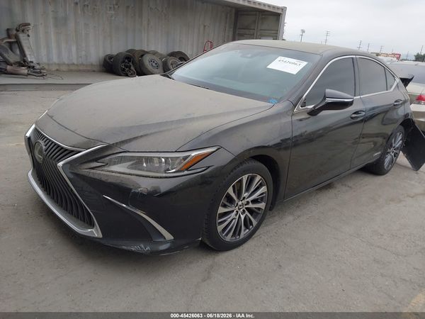 2019 LEXUS ES 300H