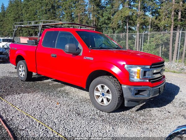 2019 FORD F-150 XLT