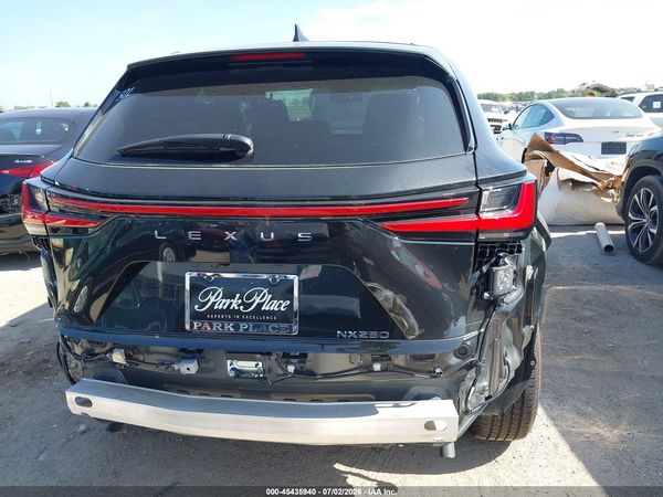 2025 LEXUS NX 250 PREMIUM
