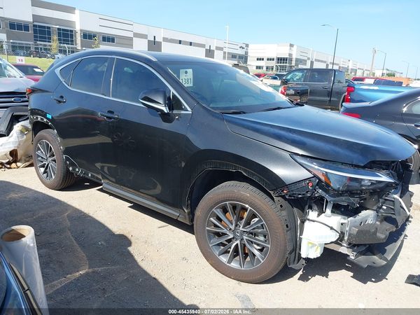 2025 LEXUS NX 250 PREMIUM