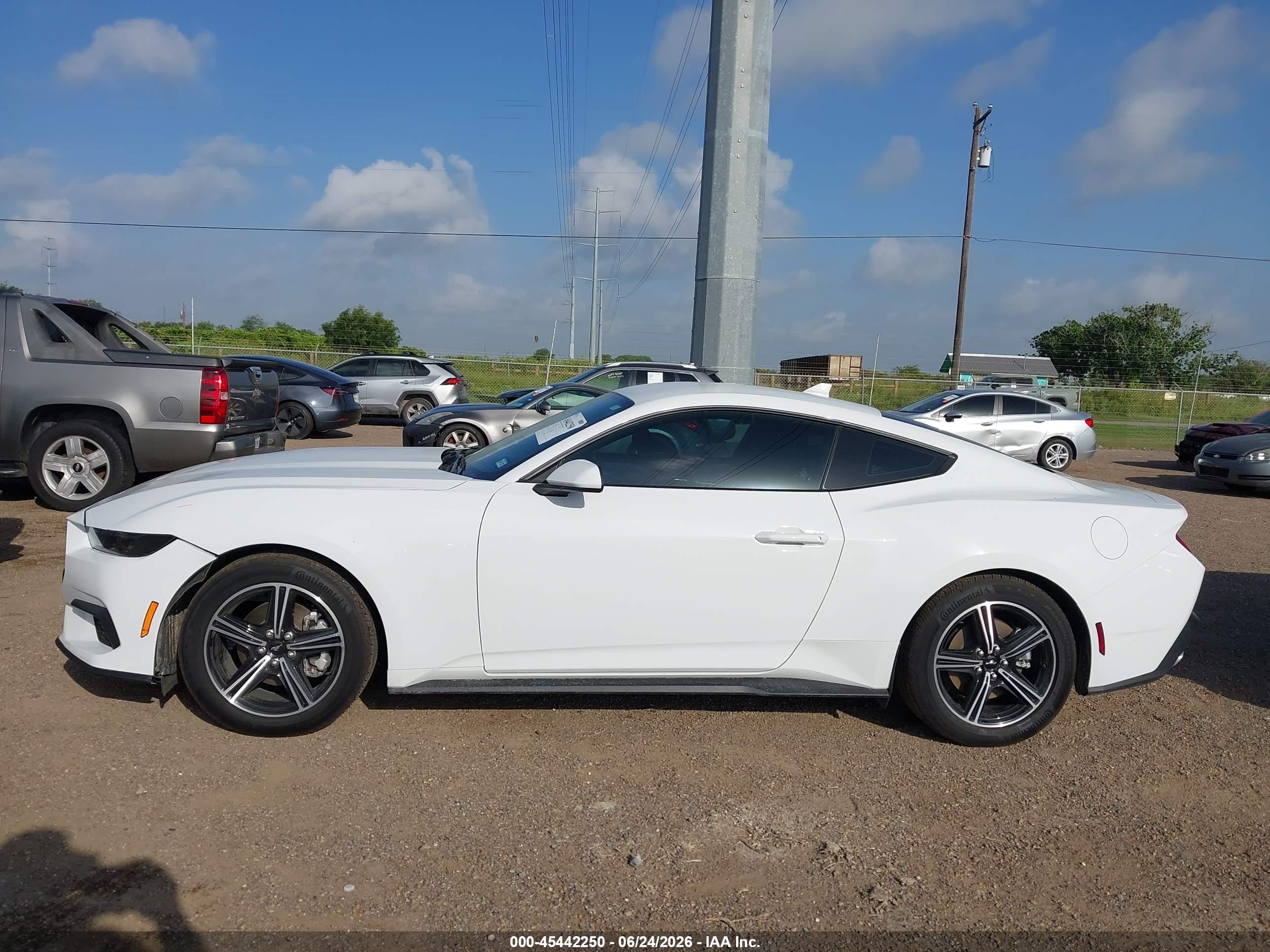 2025 FORD MUSTANG ECOBOOST FASTBACK