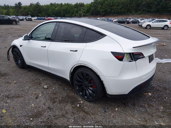 2024 TESLA MODEL Y