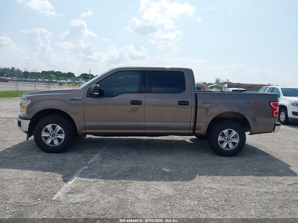 2019 FORD F-150 XL/XLT