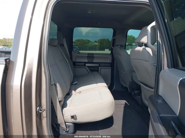 2019 FORD F-150 XL/XLT