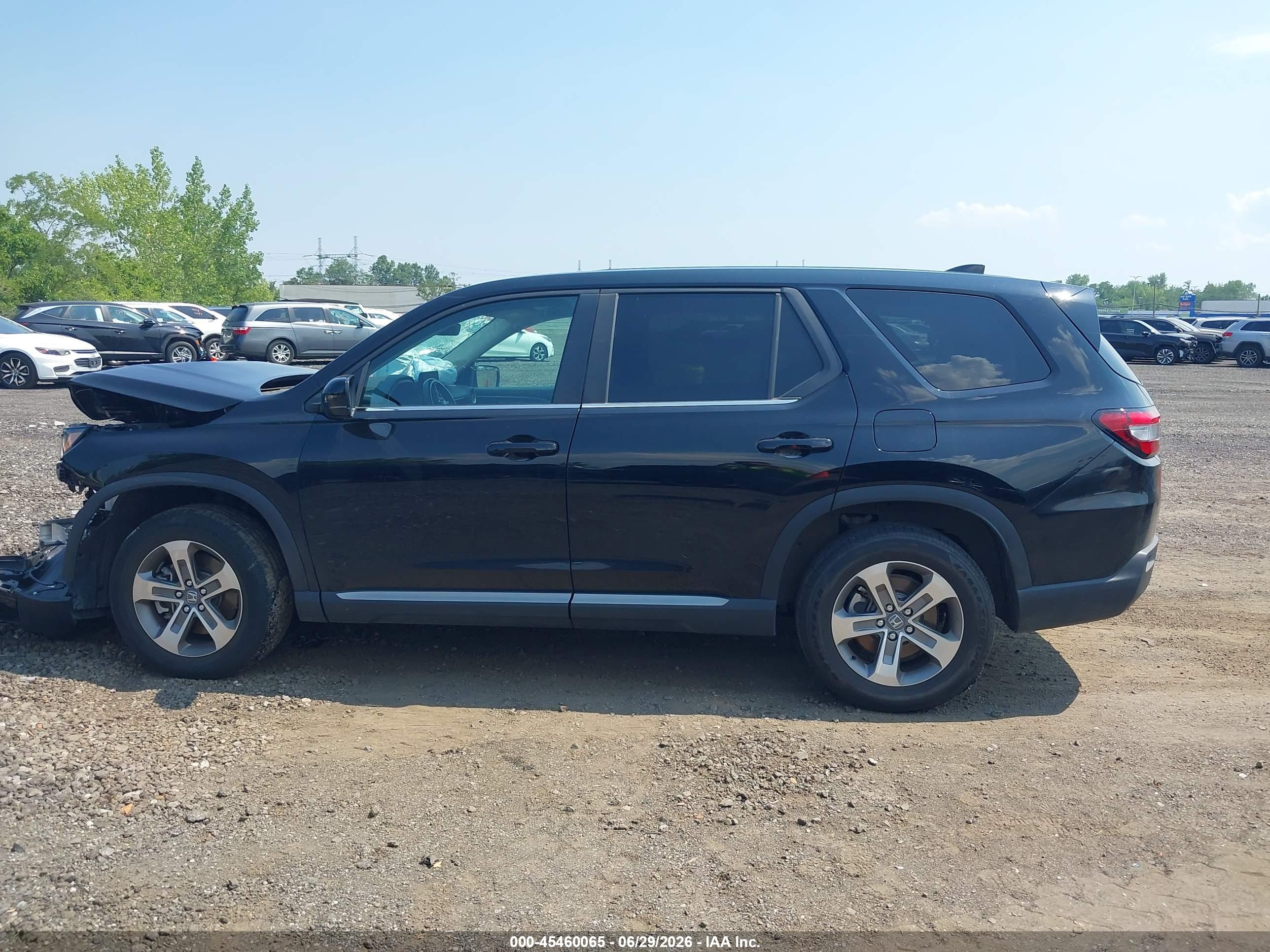 2025 HONDA PILOT EX-L