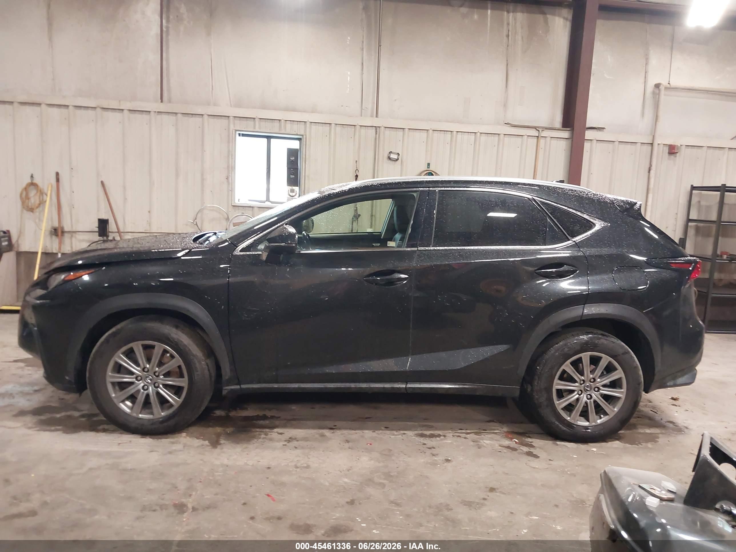 2019 LEXUS NX 300 300 Luxury