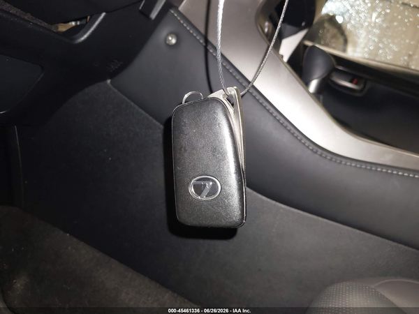 2019 LEXUS NX 300 300 Luxury