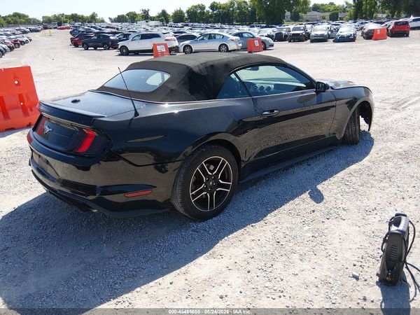 2019 FORD MUSTANG