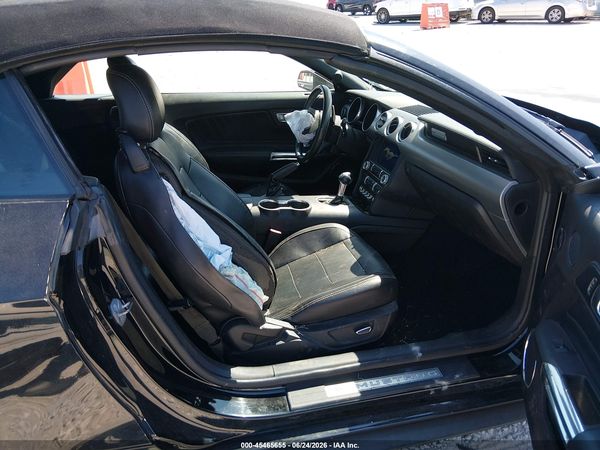 2019 FORD MUSTANG