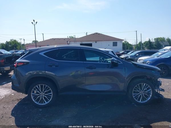 2024 LEXUS NX 350 LUXURY