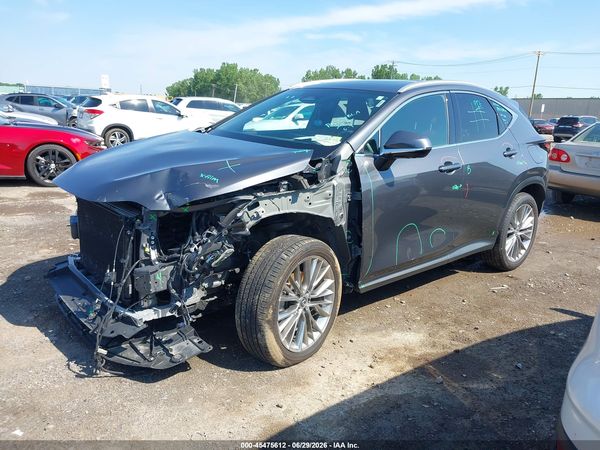 2024 LEXUS NX 350 LUXURY