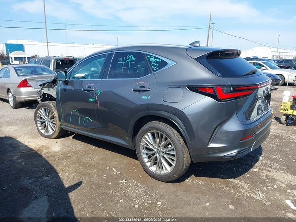 2024 LEXUS NX 350 LUXURY