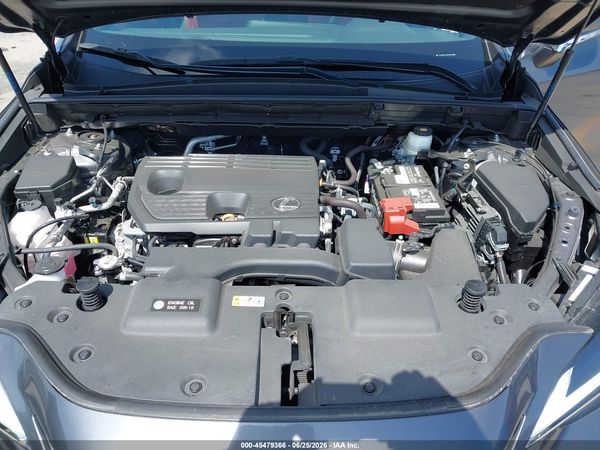 2025 LEXUS NX 250 350 Base