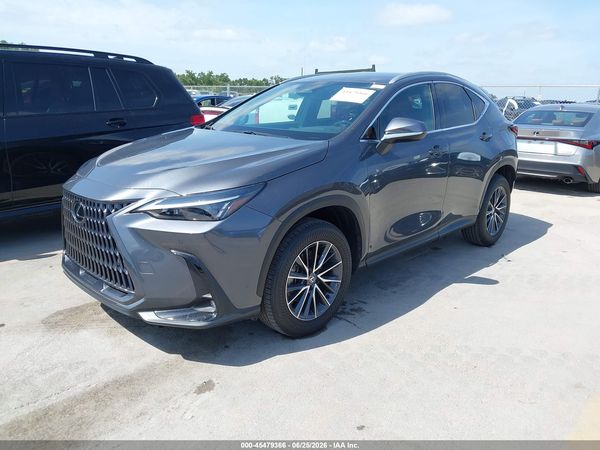2025 LEXUS NX 250 350 Base
