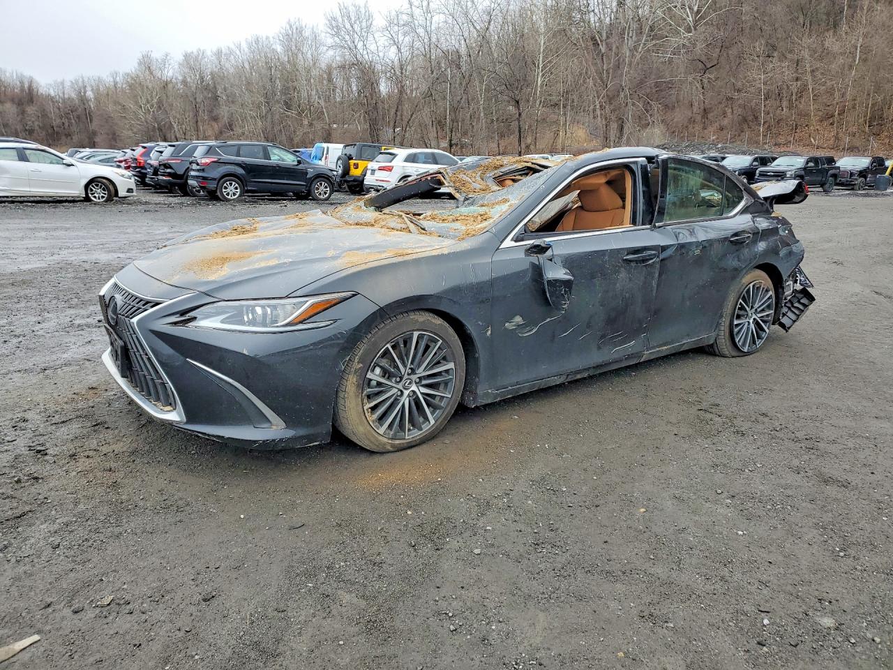 2024 LEXUS ES 350
