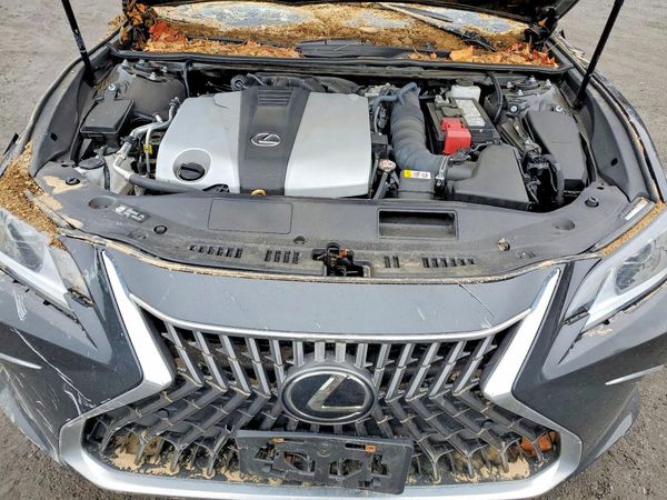 2024 LEXUS ES 350