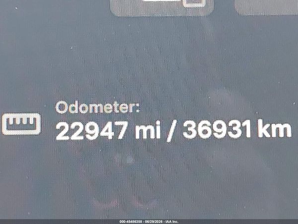 2023 TESLA MODEL Y RWD