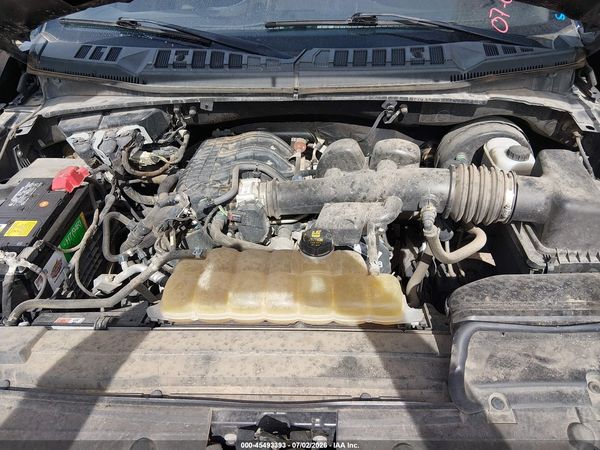 2019 FORD F-150 XL/XLT