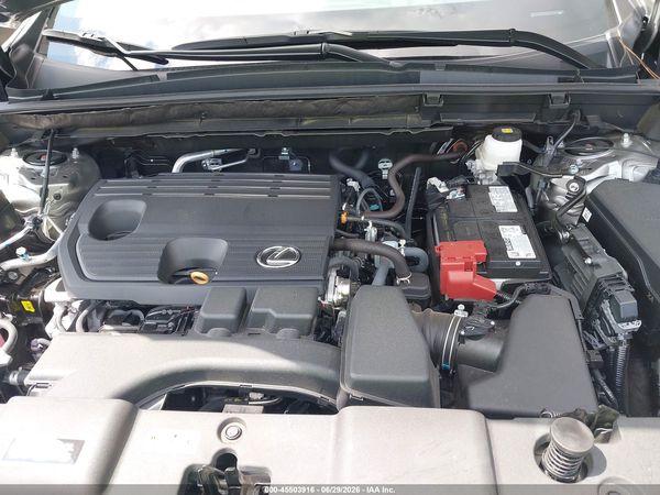 2025 LEXUS NX 250 PREMIUM