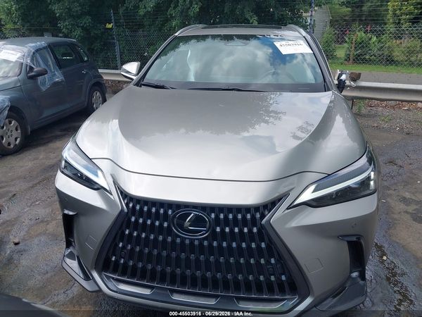 2025 LEXUS NX 250 PREMIUM