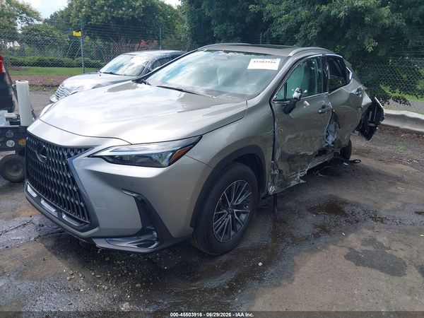 2025 LEXUS NX 250 PREMIUM