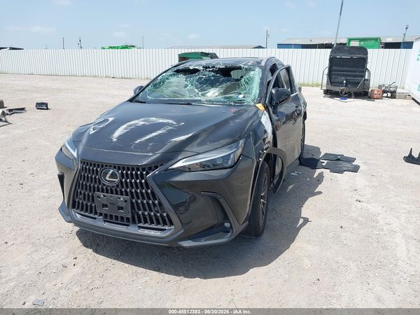 2024 LEXUS NX 250 PREMIUM