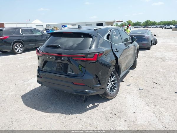 2024 LEXUS NX 250 PREMIUM