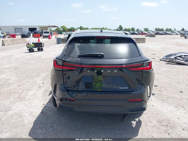 2024 LEXUS NX 250 PREMIUM