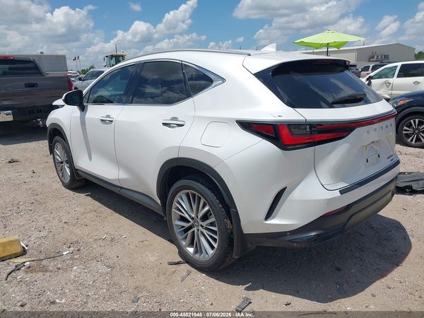 2025 LEXUS NX 350 PREMIUM