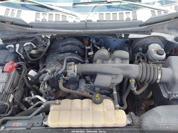 2019 FORD F-150 XL/XLT