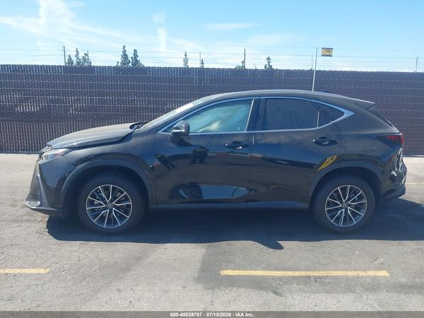 2024 LEXUS NX 350H PREMIUM — I117