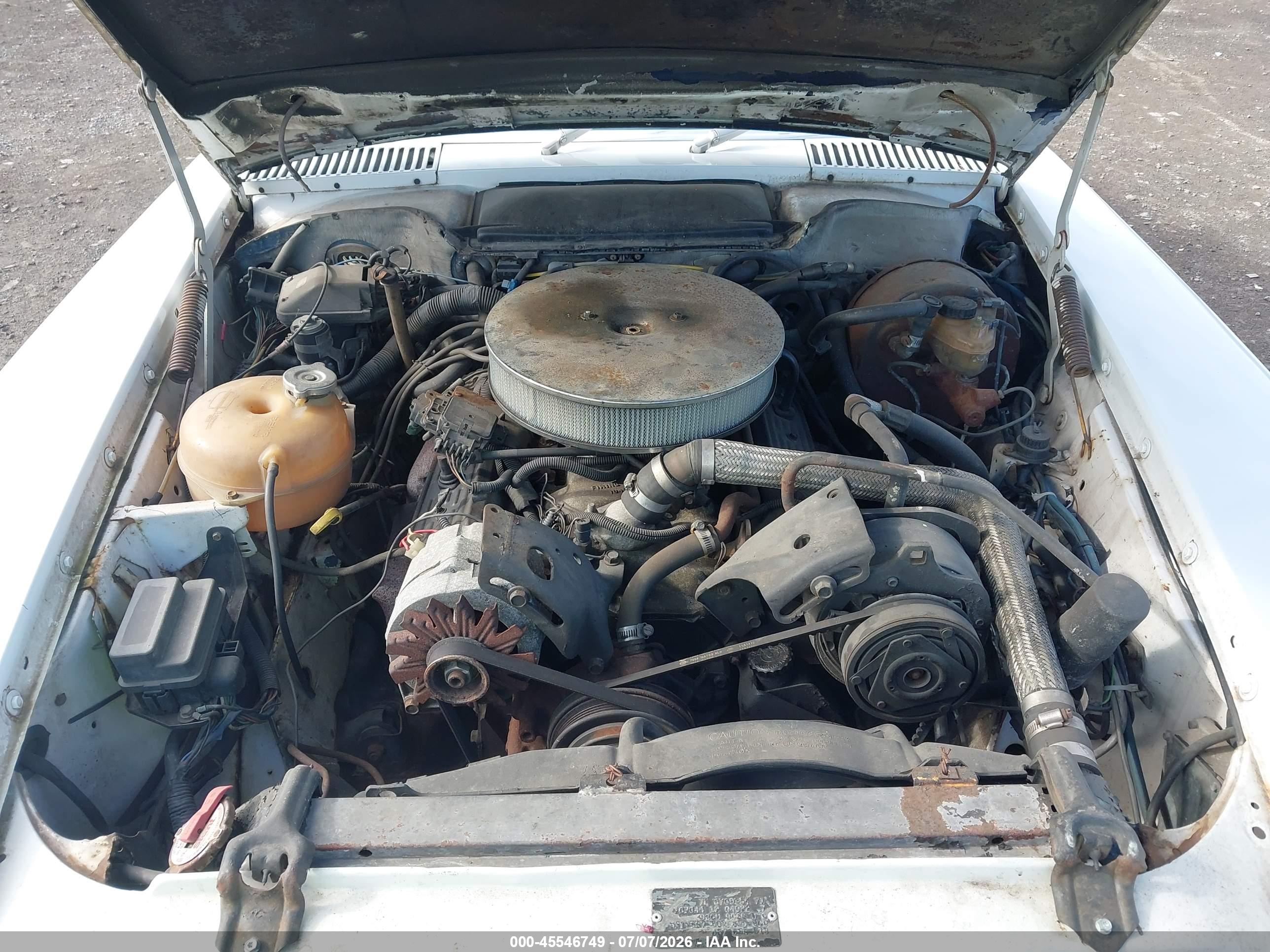 1979 MERCEDES-BENZ CAR