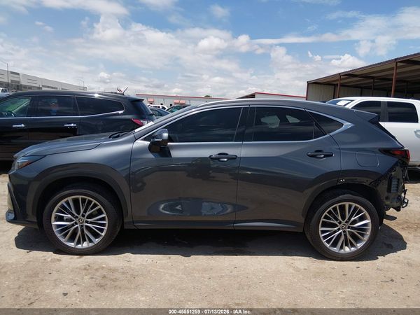 2025 LEXUS NX 350 PREMIUM