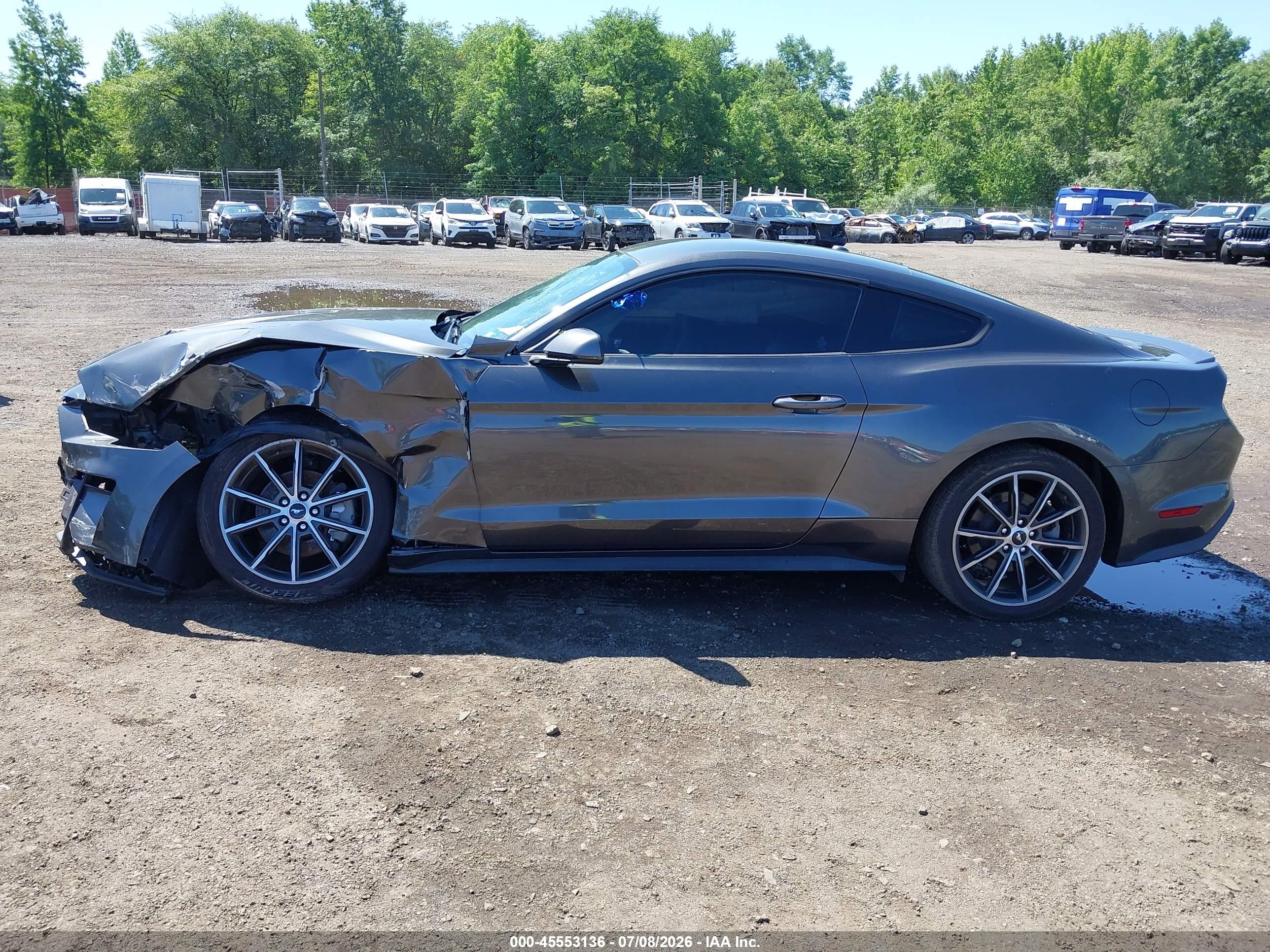 2019 FORD MUSTANG