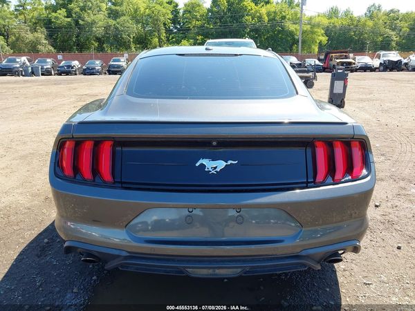 2019 FORD MUSTANG