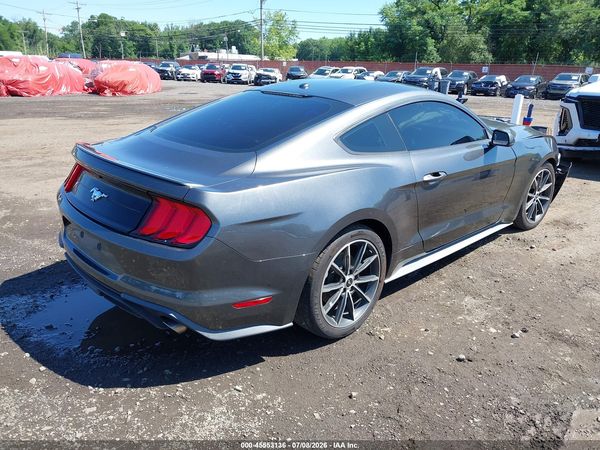2019 FORD MUSTANG