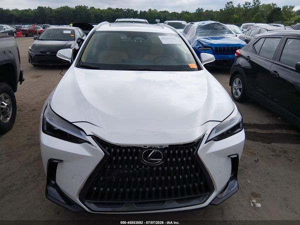 2025 LEXUS NX 350 PREMIUM