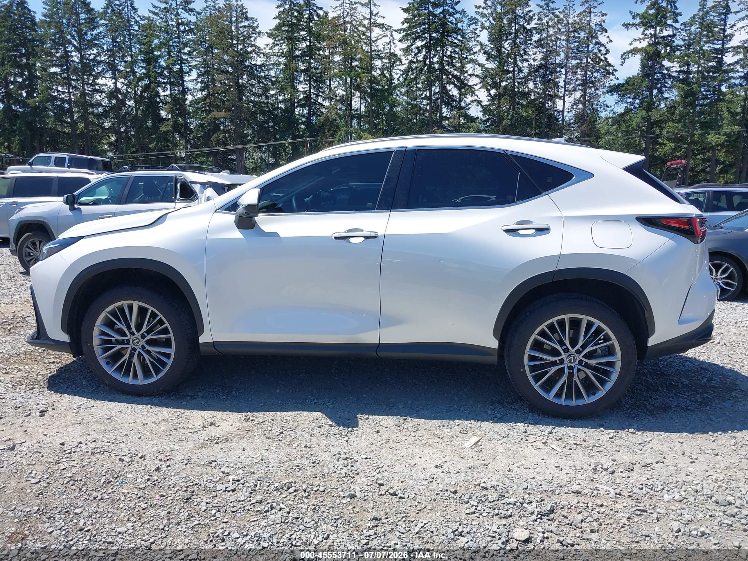 2024 LEXUS NX 350H LUXURY