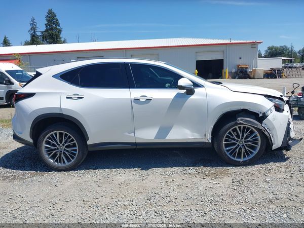 2024 LEXUS NX 350H LUXURY