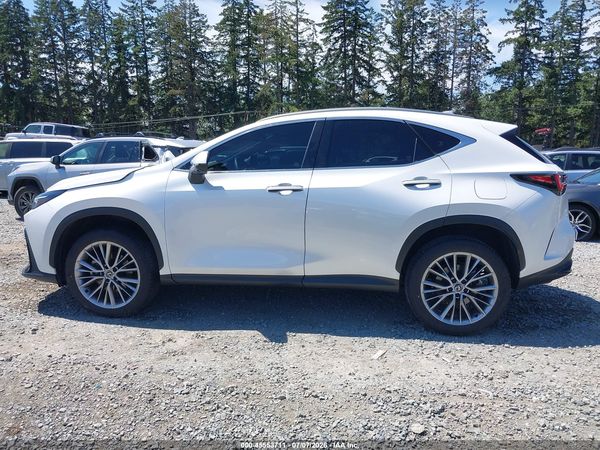 2024 LEXUS NX 350H LUXURY