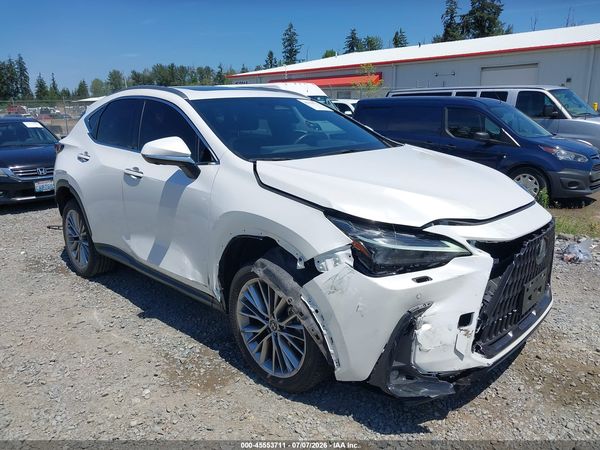 2024 LEXUS NX 350H LUXURY