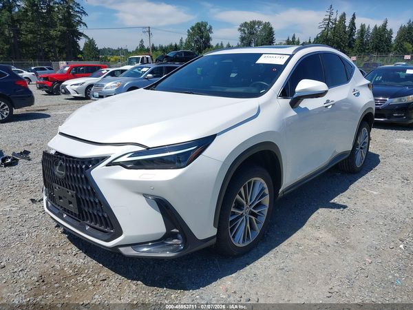 2024 LEXUS NX 350H LUXURY