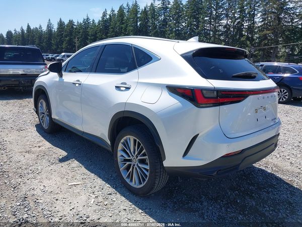2024 LEXUS NX 350H LUXURY
