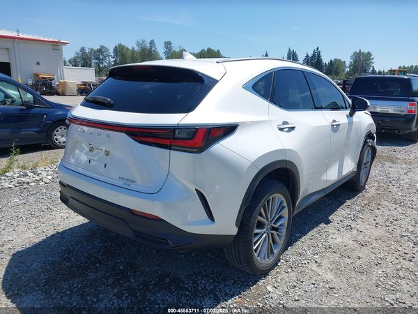 2024 LEXUS NX 350H LUXURY