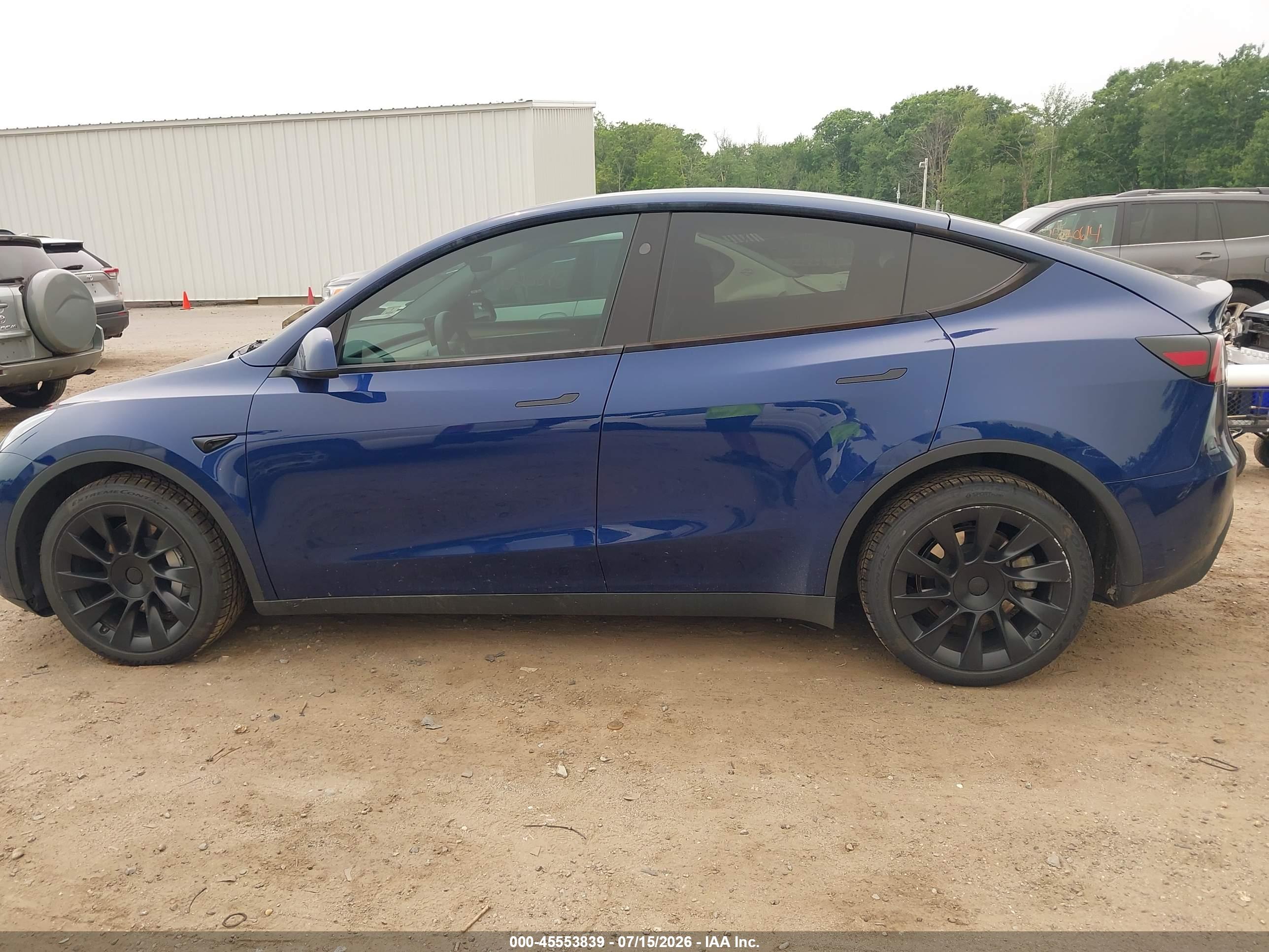 2025 TESLA MODEL Y