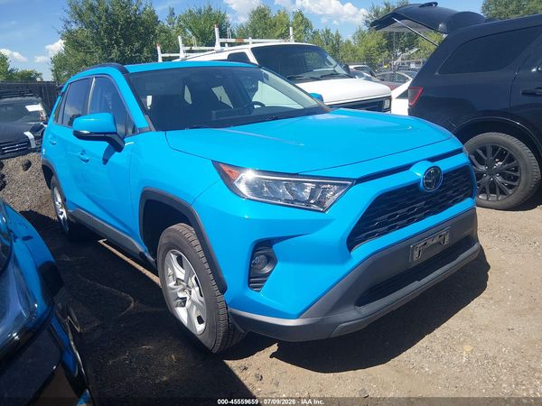 2019 TOYOTA RAV4 XLE