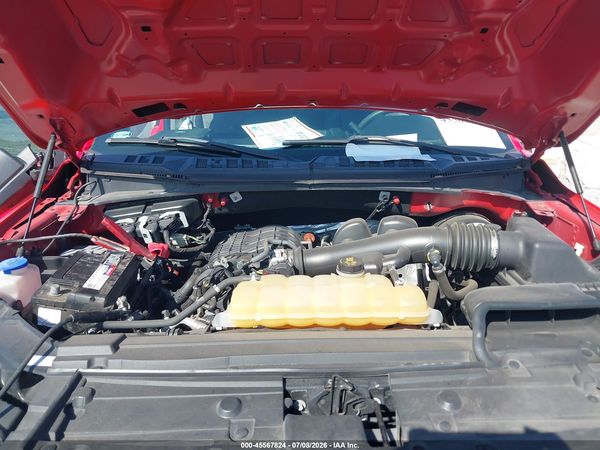 2019 FORD F-150 XL/XLT